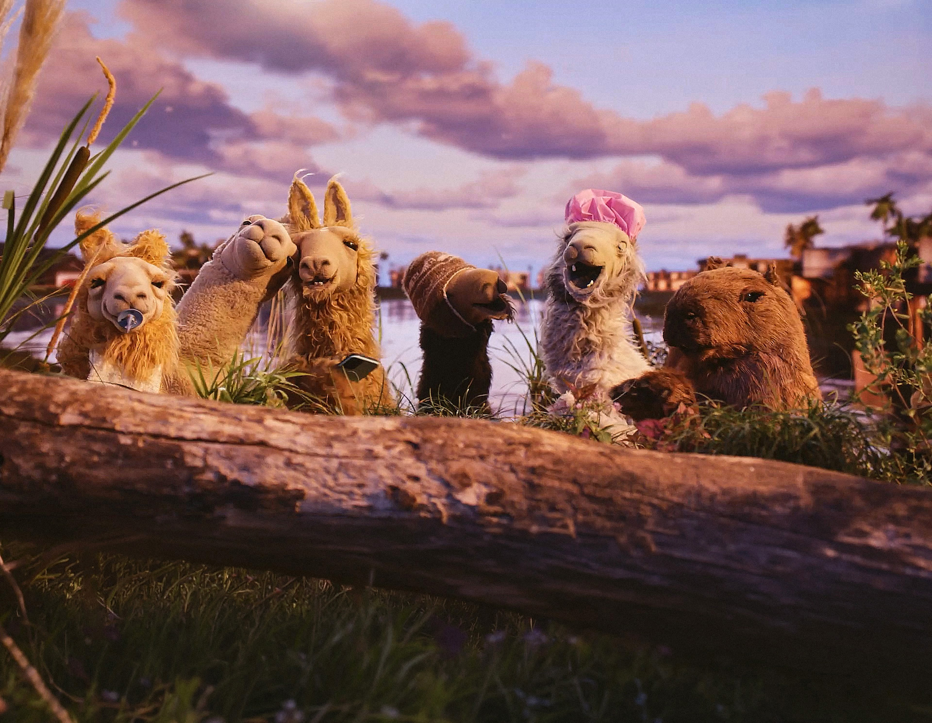 Se trata de la icónica llama famosa por las publicidades de los 90. Ahora vuelve en formato miniserie pero manteniendo ese humor tan característico de “La Llama que Llama”. Filmado en Cacodelphia Studios. Productora: LANDIA